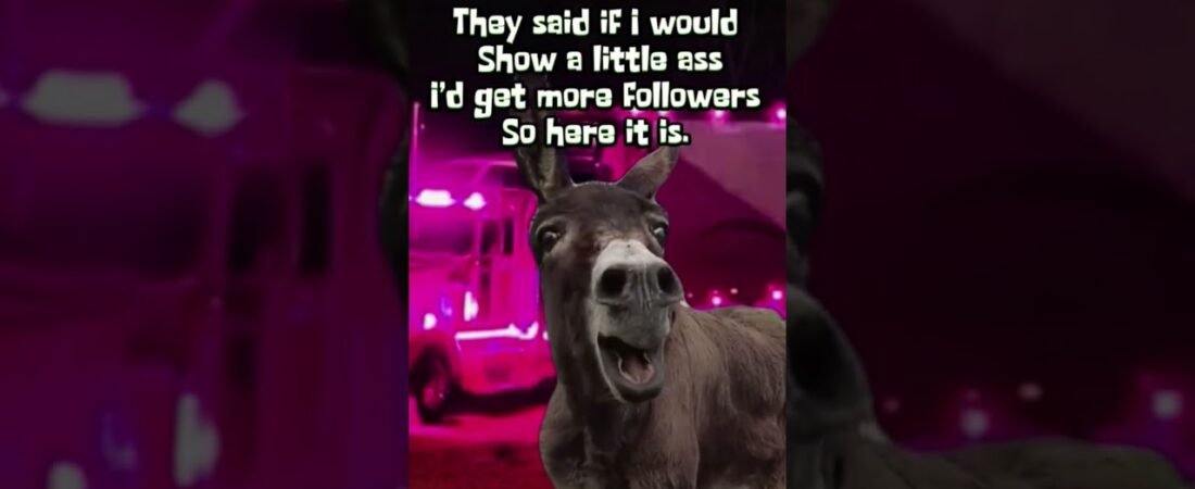 THEY ASKED ME TO SHOW A LITTLE MORE A$$ ON MY CHANNEL.