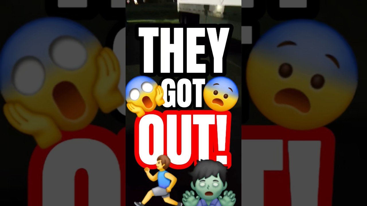 THEY GOT OUT! AND YOU WONT BELIEVE HOW SCARY THAT IS!
