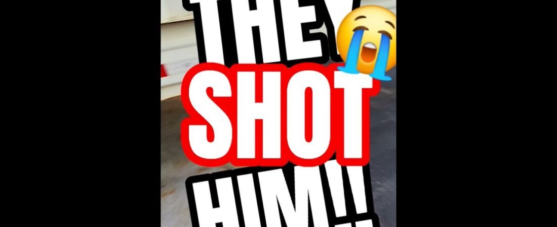 THEY JUST SHOT HIM. Smugglers jumped out and shot the trucker. Here’s what’s left.