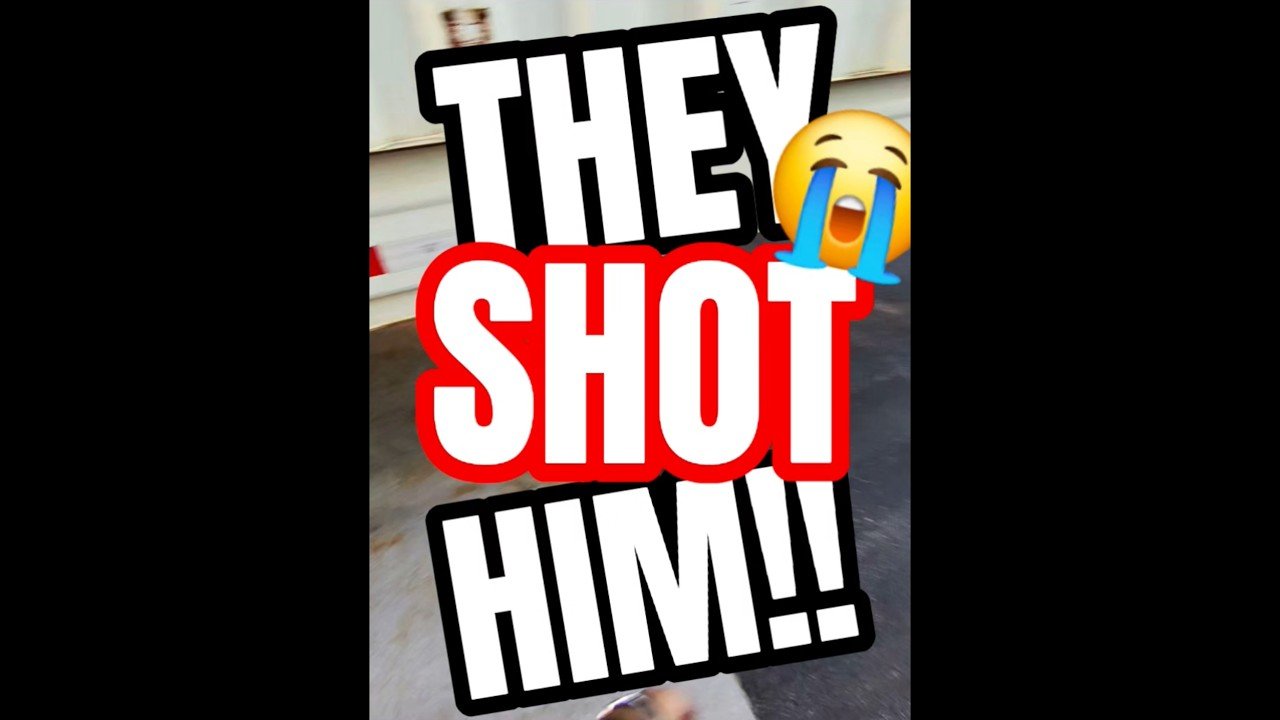 THEY JUST SHOT HIM. Smugglers jumped out and shot the trucker. Here’s what’s left.