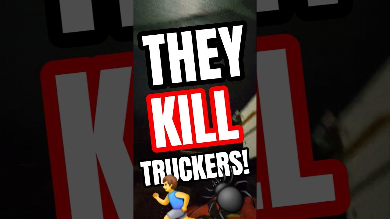 THEY KILL TRUCKERS EVERYDAY. THIS IS HOW WE SURVIVE IT.