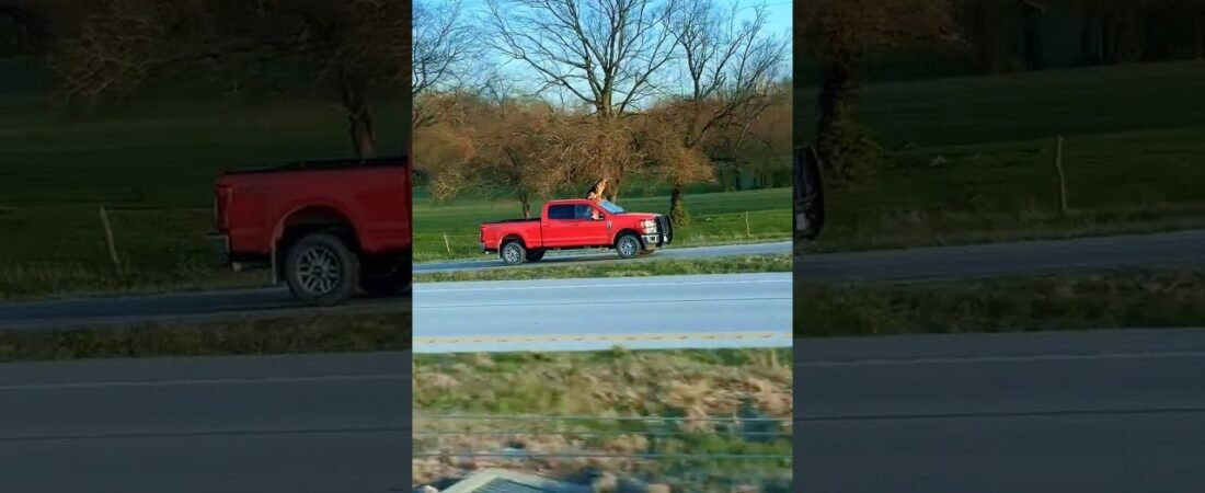 THINGS YOU ONLY SEE IN MIDDLE AMERICA.