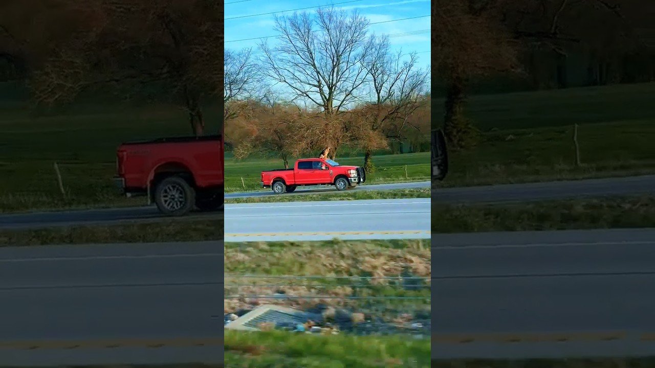 THINGS YOU ONLY SEE IN MIDDLE AMERICA.