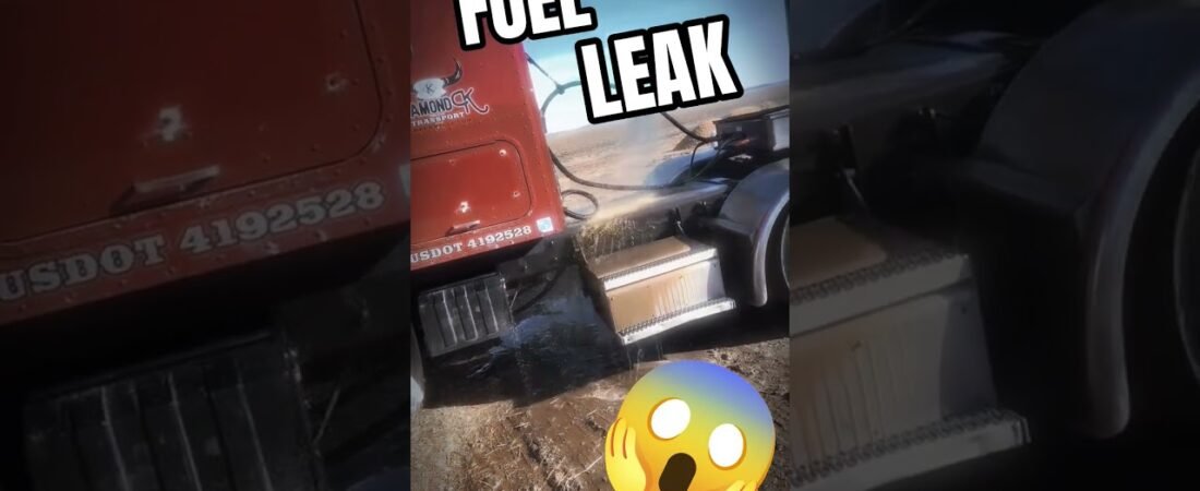 THIS FUEL LEAK WILL RUIN YOUR DAY.