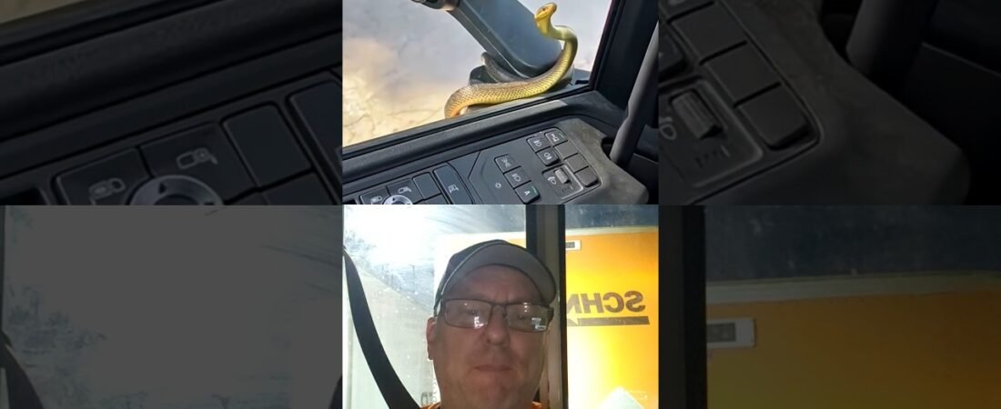 THIS HITCHHIKER WAS A SNAKE!