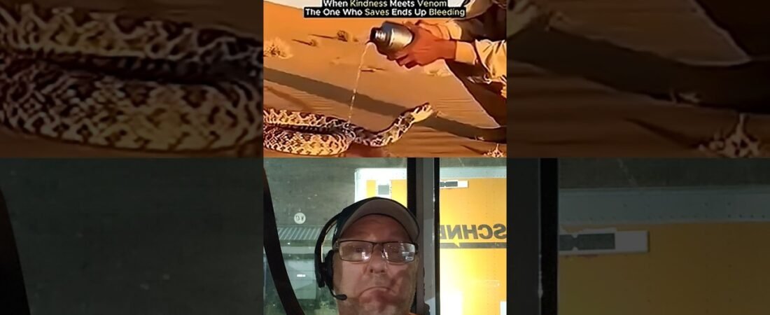 THIS IS WHY YOU SHOULD NEVER TRUST A TRUCKER!