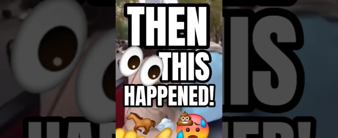 THIS REALLY HAPPENED, AND YOU’RE GOING TO LOVE IT!