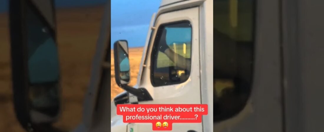 THIS TRUCK DRIVER IS LIVING HIS BEST LIFE.