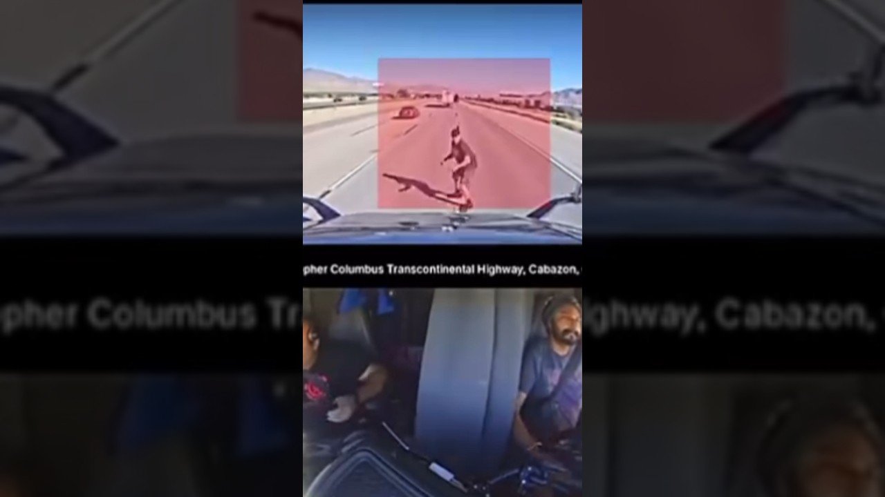 THIS TRUCKER DIDN’T STAND A CHANCE. NOW HE WILL LIVE WITH WITH THIS FOREVER.