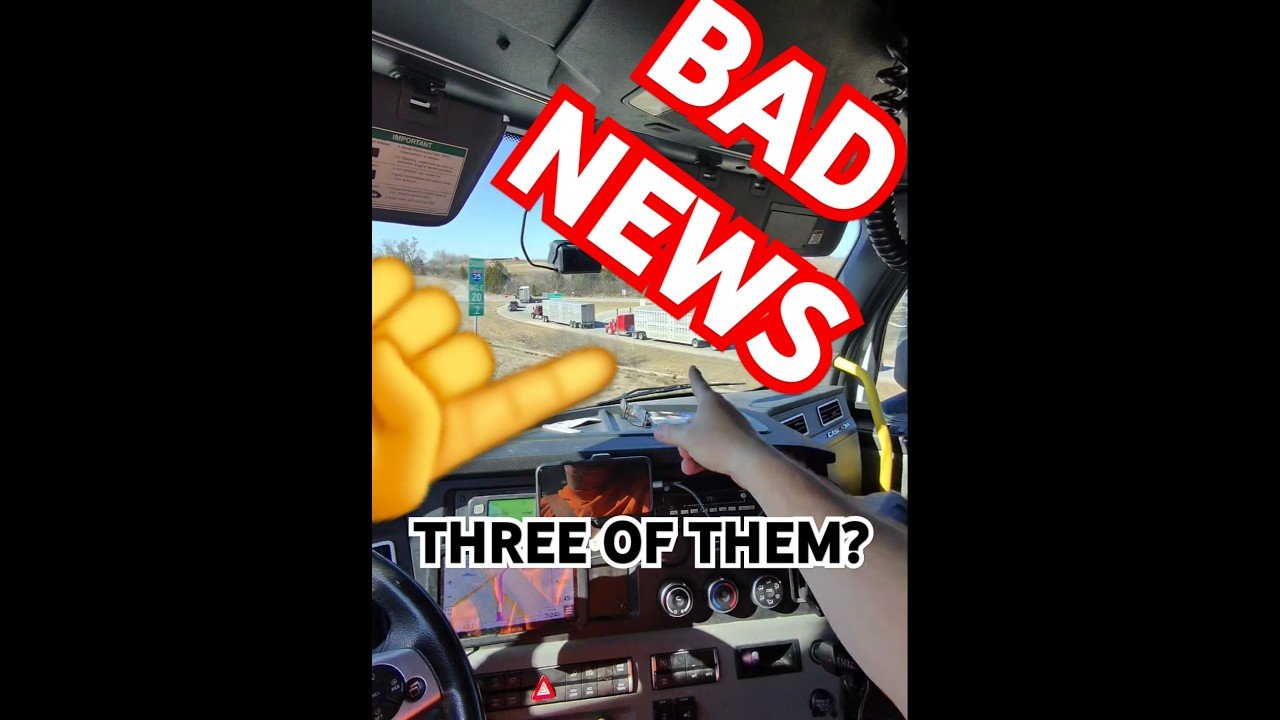 THREE OF THEM? That’s Bad News! Bull Haulers, Cattle Haulers always up to no good.