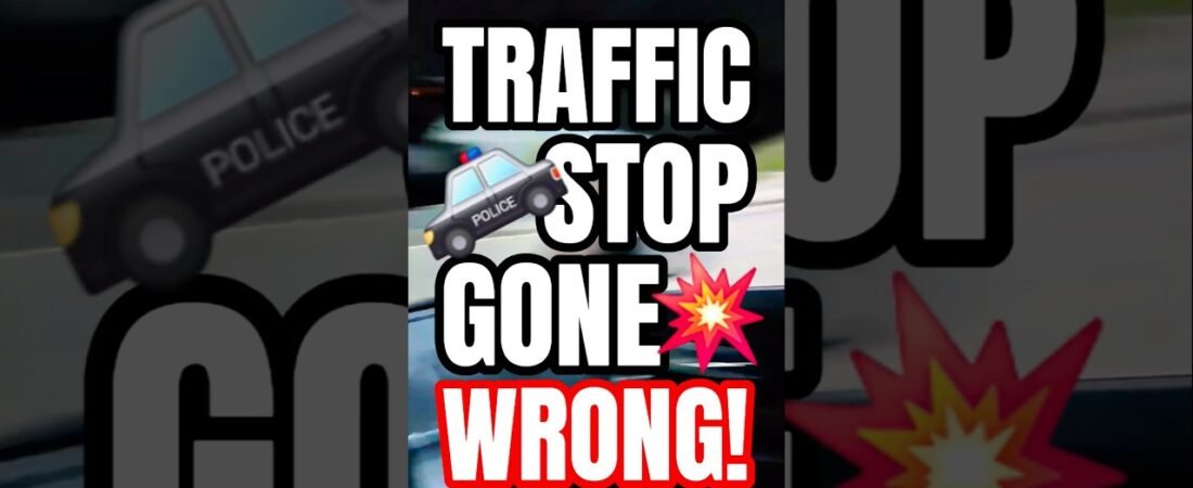 TRAFFIC STOP GONE WRONG. NOBODY IS SAFE OUT HERE.