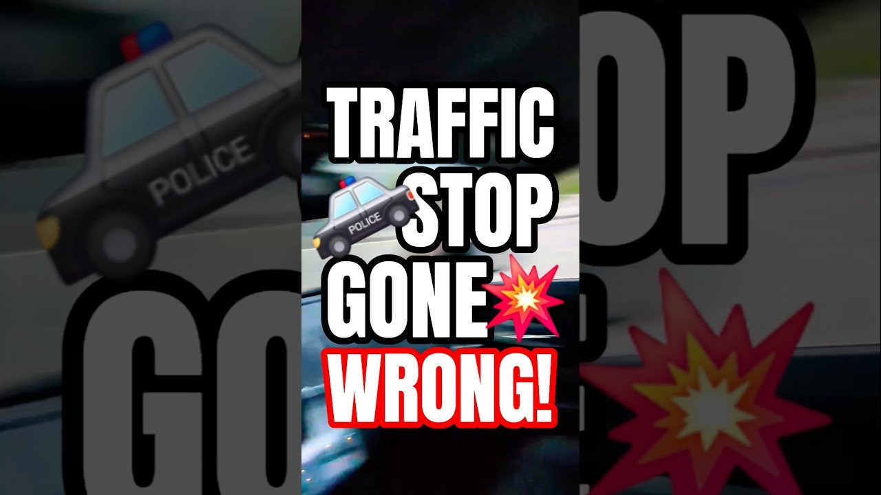 TRAFFIC STOP GONE WRONG. NOBODY IS SAFE OUT HERE.