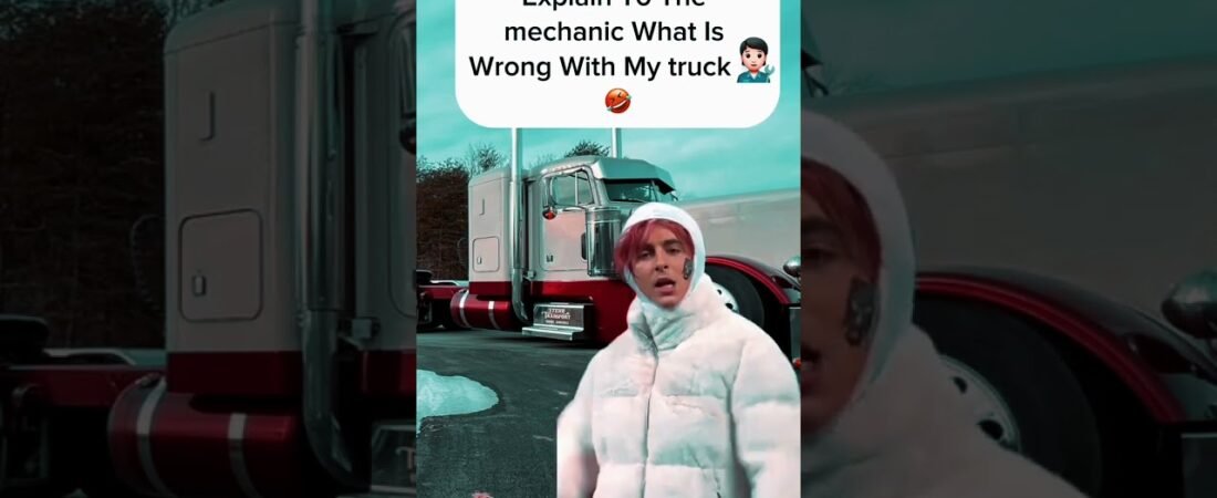 TRUCKER EXPLAINS ISSUE TO MECHANIC.