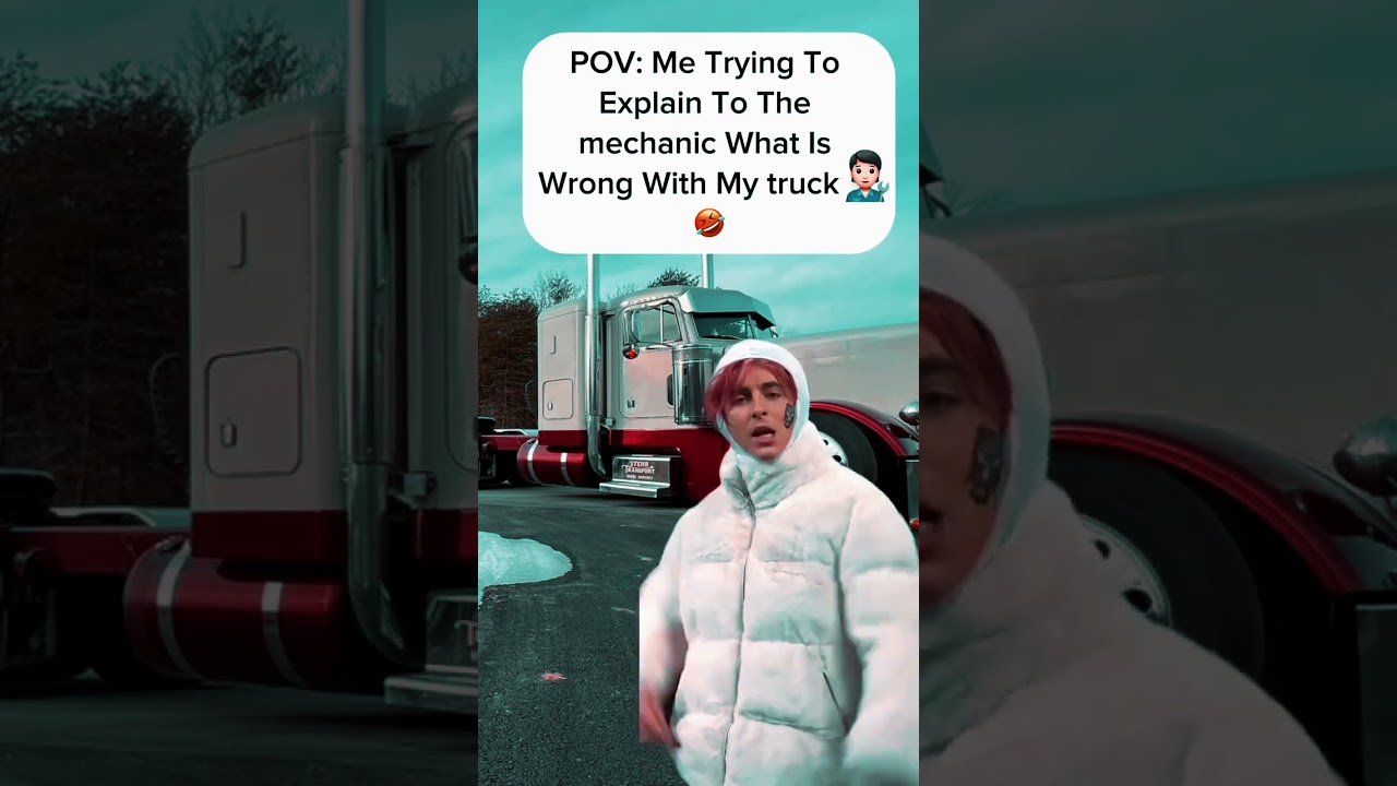TRUCKER EXPLAINS ISSUE TO MECHANIC.