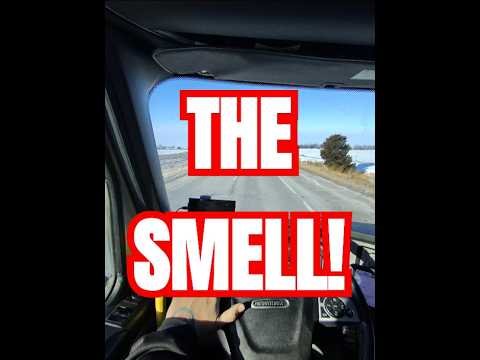 TRUCKER HORRER STORY. Driver Trainer solved “The Smell” issue!