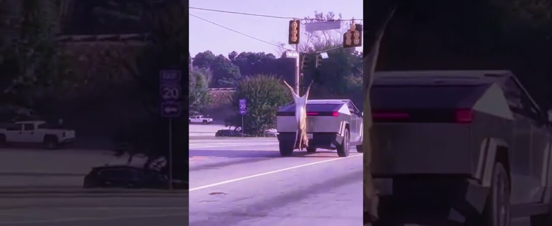 TRUCKERS SEE THE CRAZIEST THINGS OUT HERE ON THE HIGHWAY.