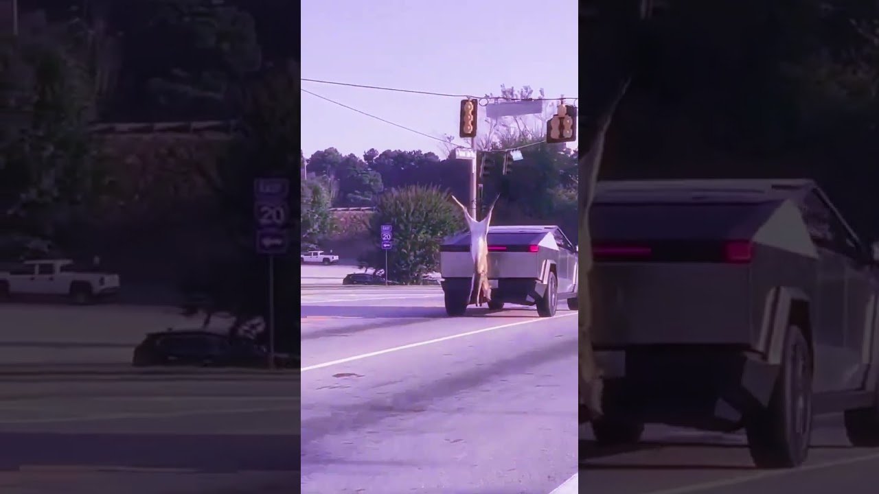 TRUCKERS SEE THE CRAZIEST THINGS OUT HERE ON THE HIGHWAY.