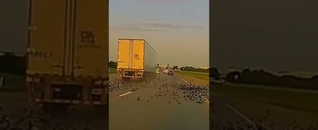 That big rig just exploded on the highway.