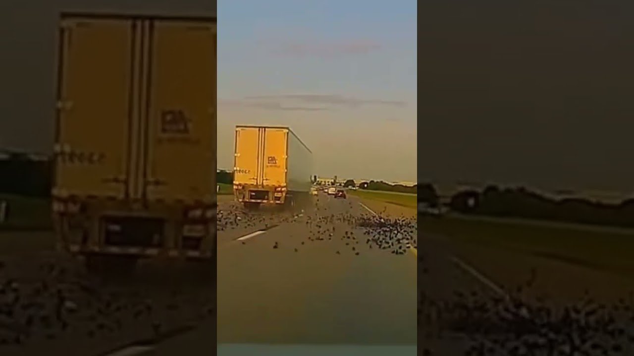 That big rig just exploded on the highway.