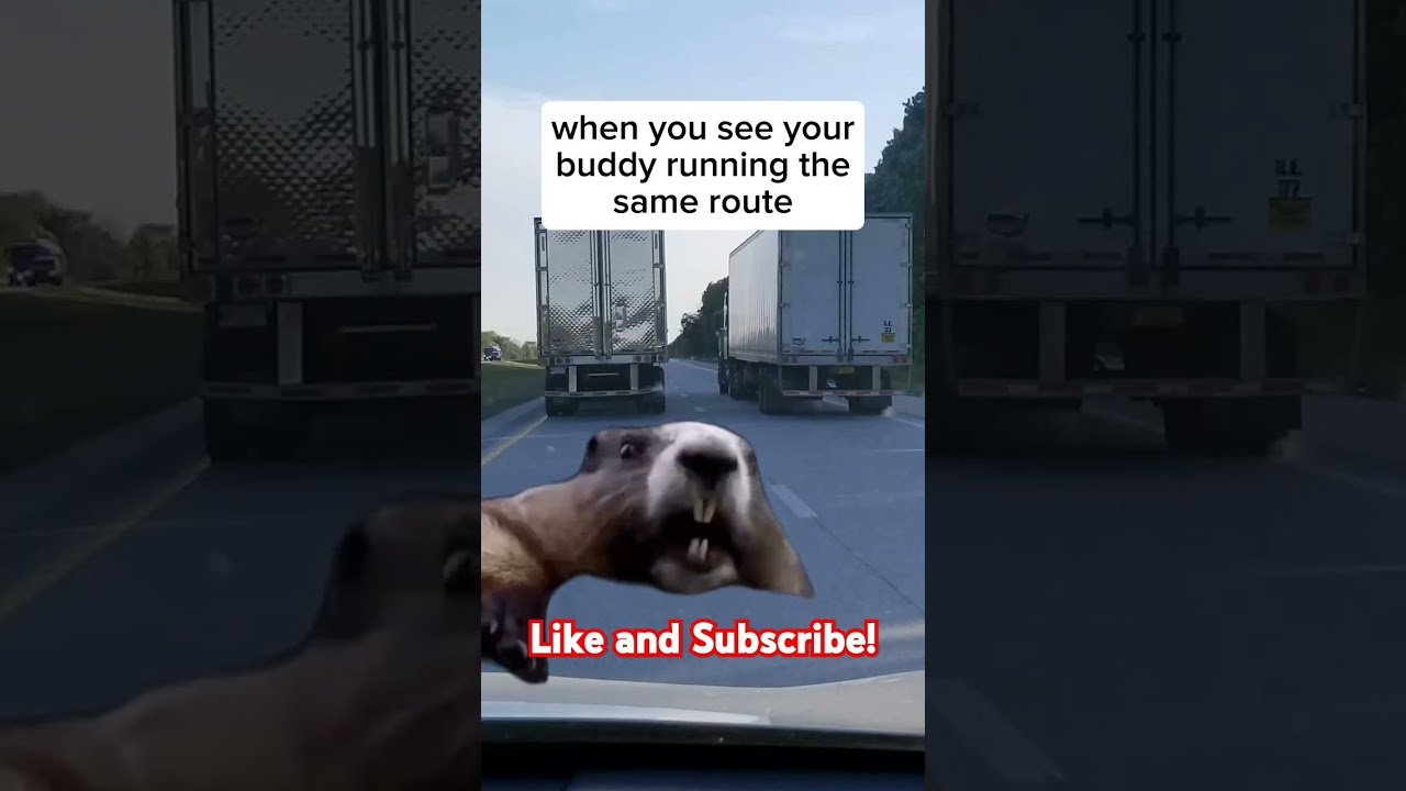 That’s my buddy!! I’m just trying to get his attention. You know the feeling.