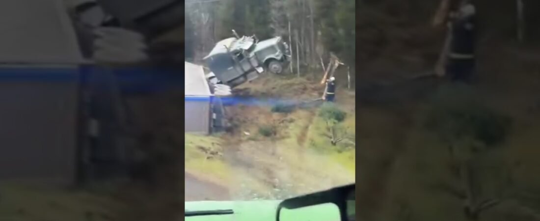 The Big Rig is UP IN THE TREE! This accident was NO ACCIDENT!