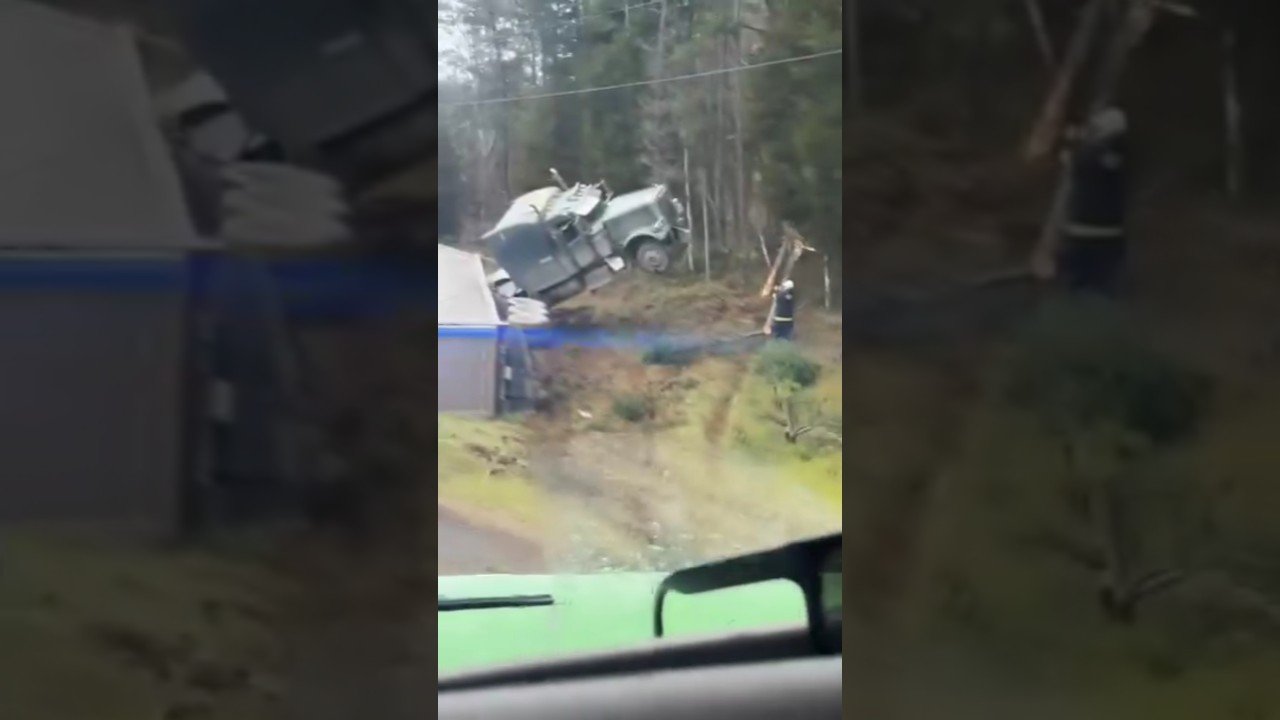 The Big Rig is UP IN THE TREE! This accident was NO ACCIDENT!
