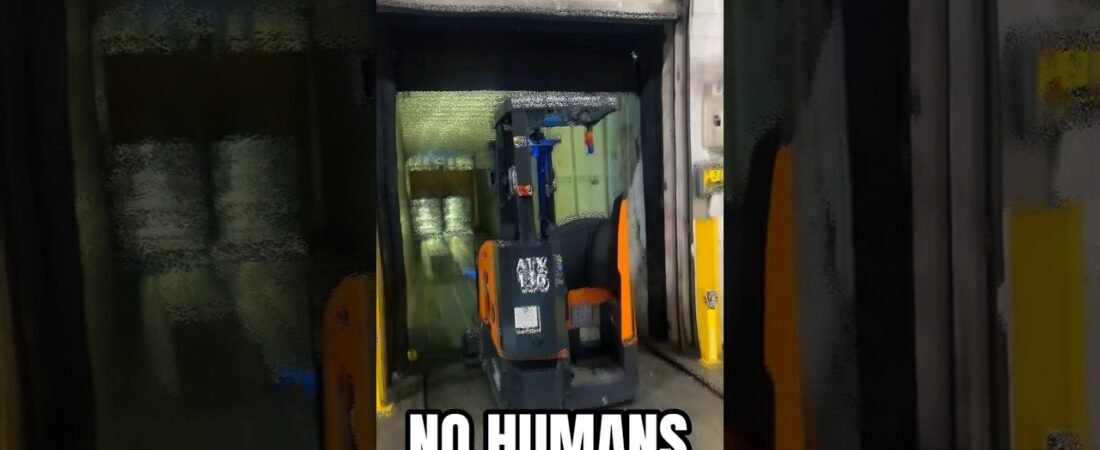 There are no humans left out here. It’s over. The end.