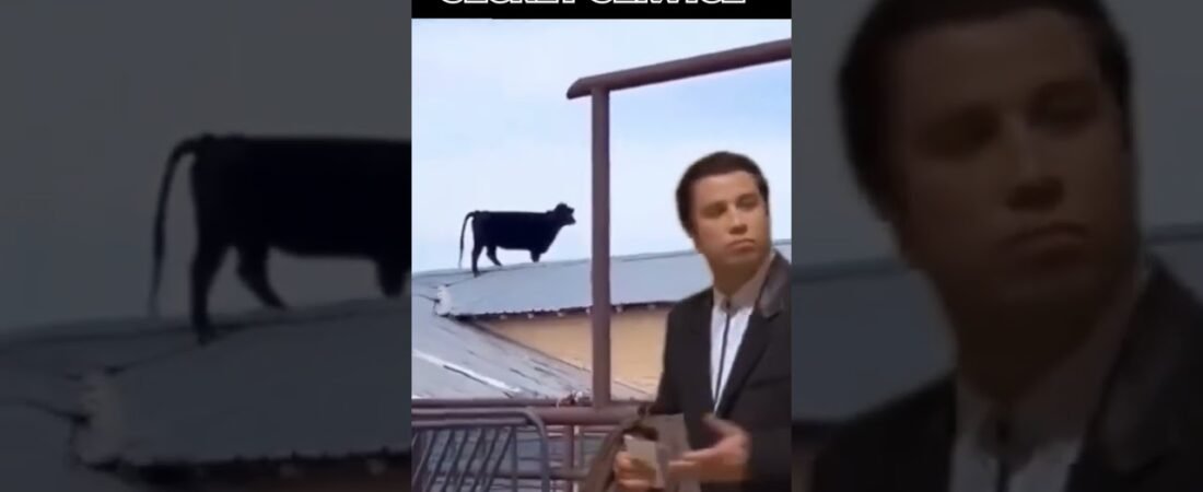 There’s nothing to see here, folks. The Secret Service has everything under control.