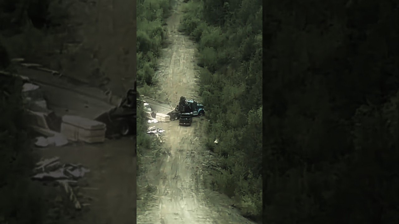 This Truck Driver lived to see another day thanks to the Runaway Truck Ramp.