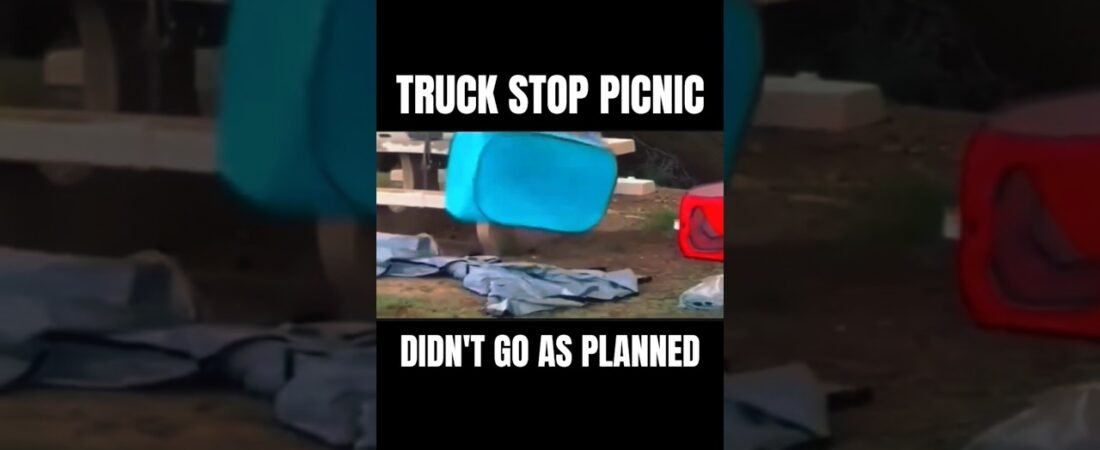 This Truck Stop picnic gone wrong will have you thinking twice about bringing your cat.