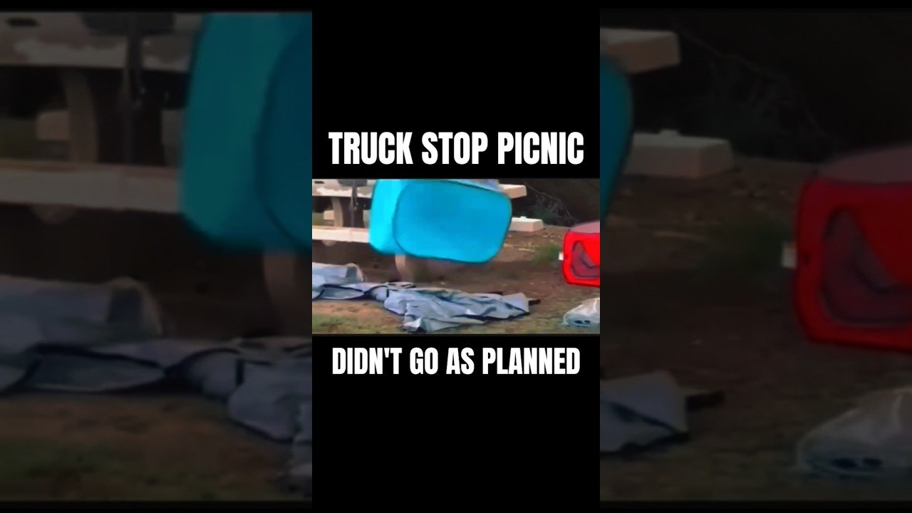 This Truck Stop picnic gone wrong will have you thinking twice about bringing your cat.