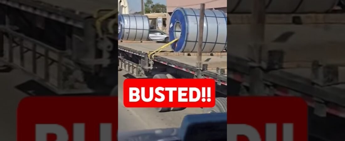 This Trucker got BUSTED for THE MOST DANGEROUS thing a professional driver could attempt.