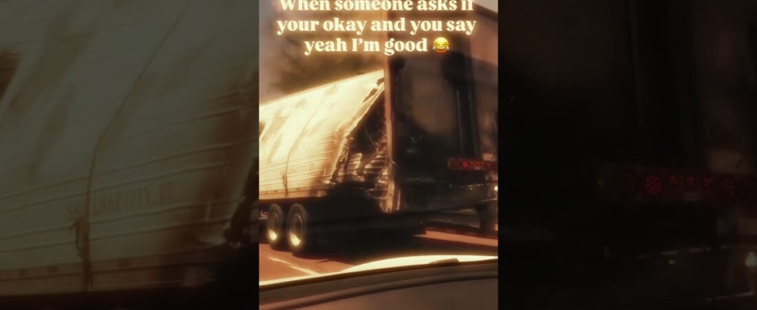 This Trucker needs a friend. Trucking can be lonely.