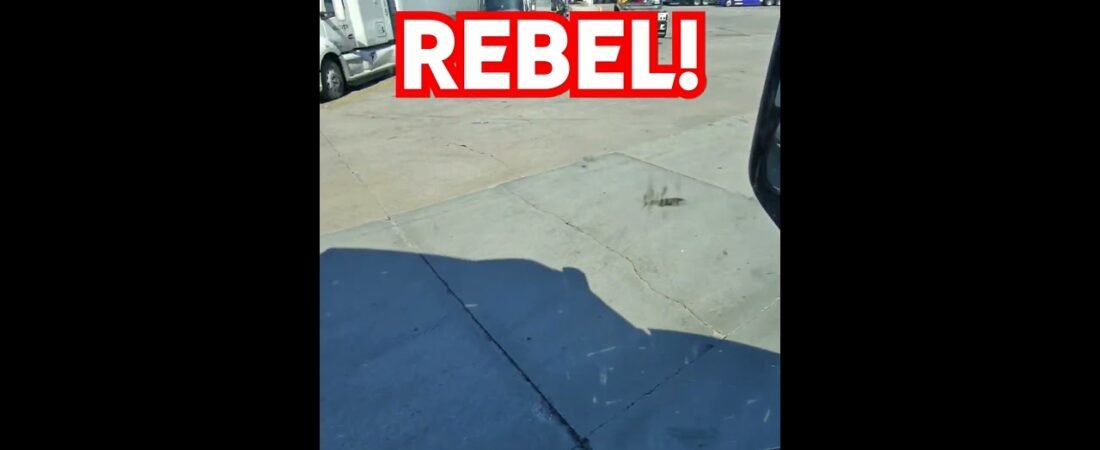 This driver is a REBEL. Learn to drive like a pro by watching this trucker drive.