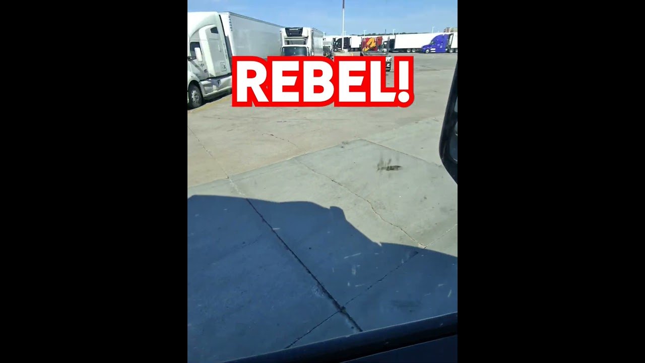 This driver is a REBEL. Learn to drive like a pro by watching this trucker drive.