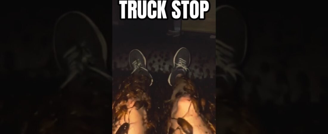 This is EXACTLY like sleeping at the Truck Stop