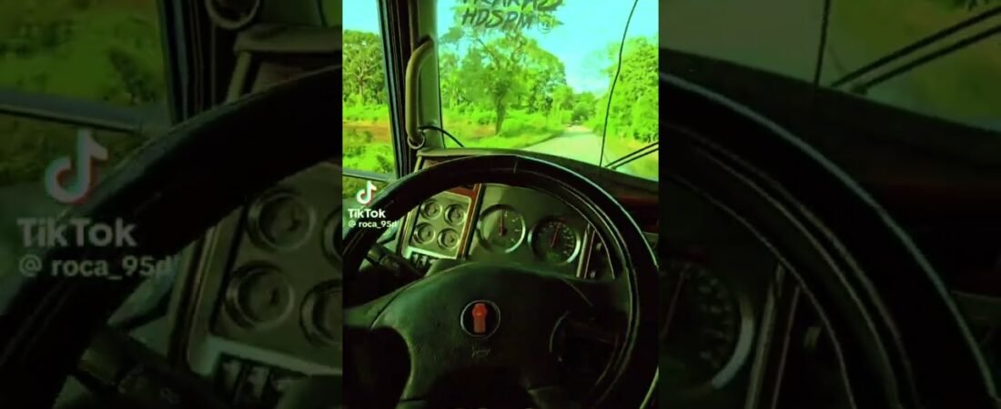 This trucker gets all the ladies with this one trick!