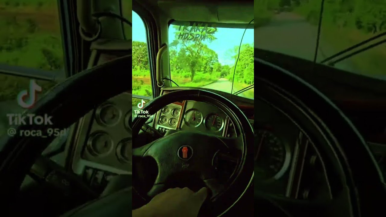 This trucker gets all the ladies with this one trick!