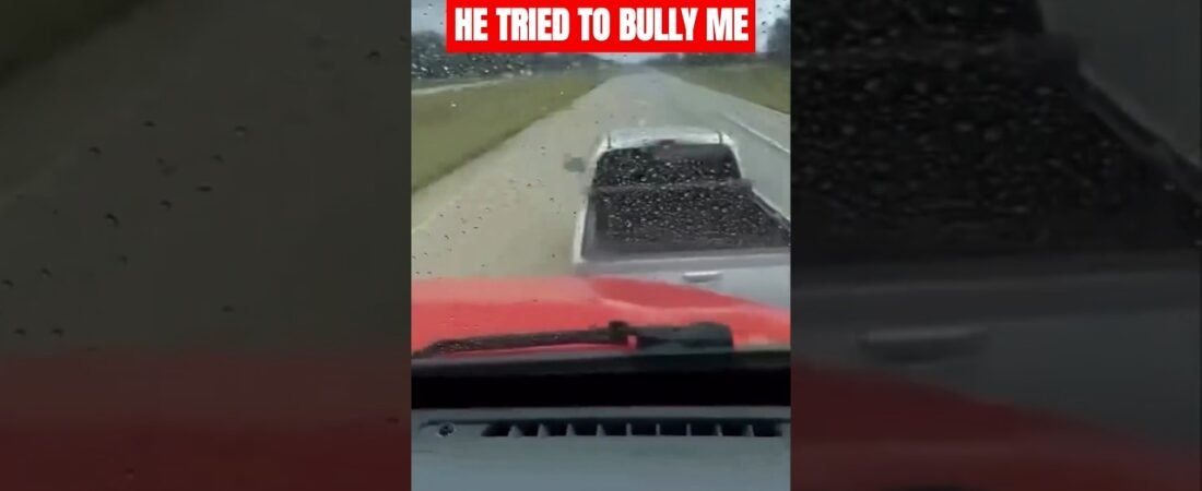 This woman tried to BULLY me on the highway until I LET HER HAVE IT! #roadrage #karma #dei