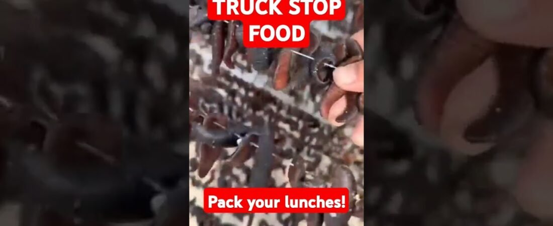 Truck Stop Food is Different. This stuff will make you want to pack your own lunches.