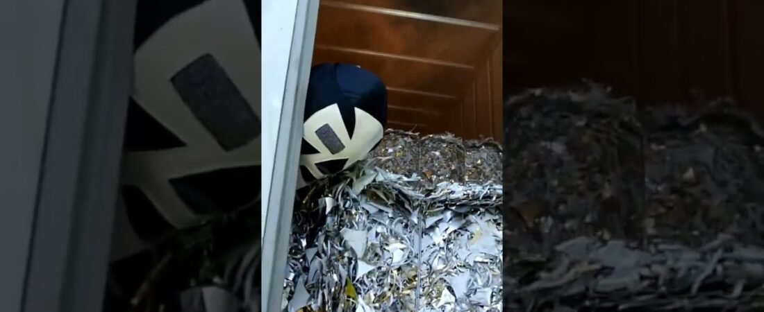 Trucker Attacks Smuggler Hiding INSIDE of his Semi Trailer. One Punch Knockout.