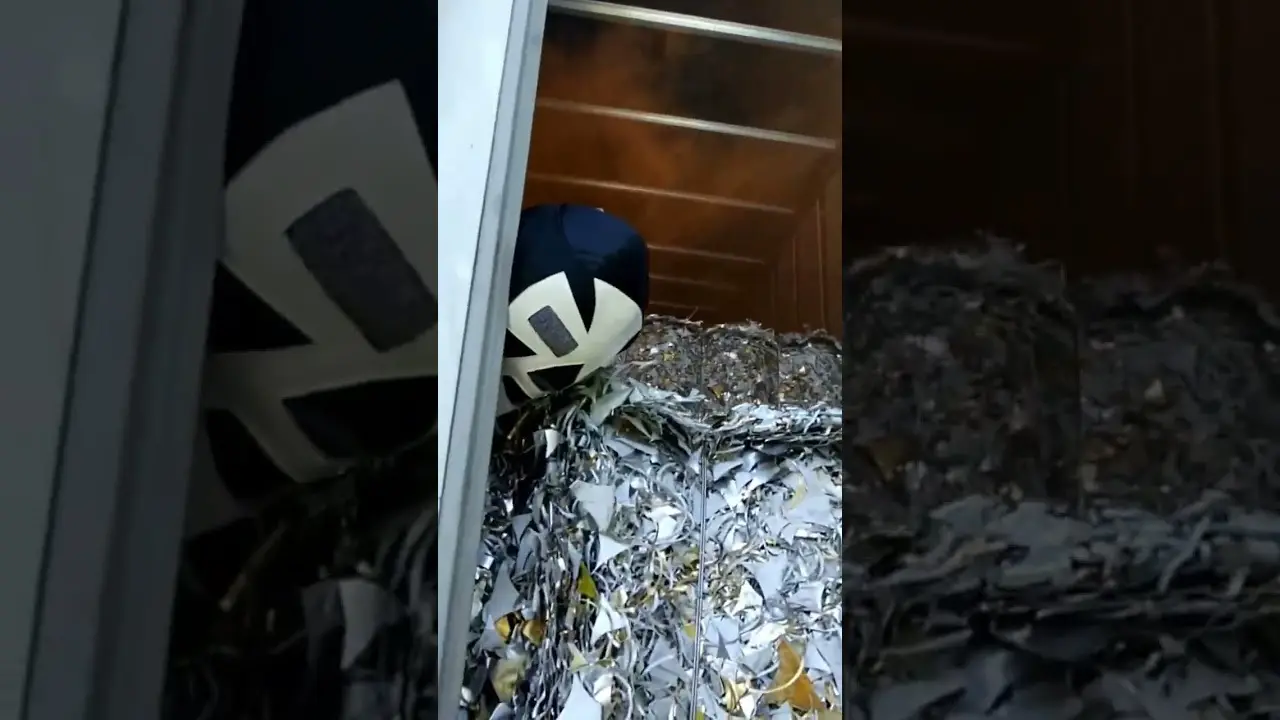 Trucker Attacks Smuggler Hiding INSIDE of his Semi Trailer. One Punch Knockout.