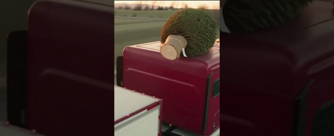 Trucker Brings Home a Christmas Tree. Merry Christmas from Company Driver #companydriver #trucking