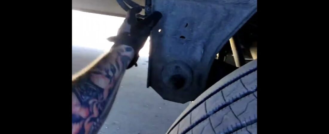 Trucker Calmly uses SHOCKER on the Smugglers inside of his trailer. Real Man Stuff!