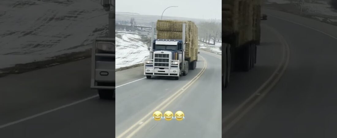 Trucker EXPOSES the TRUTH about VEGANS! Share this info with EVERYONE!