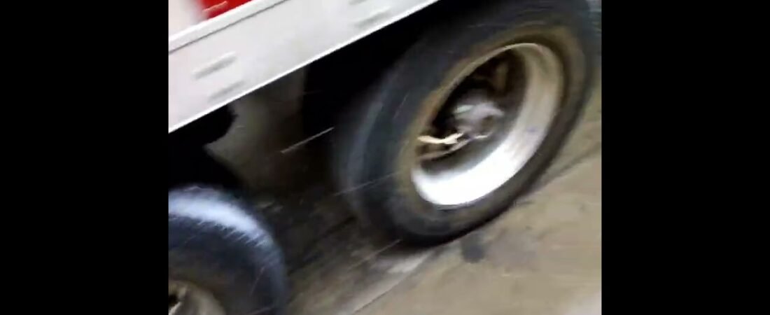 Trucker Inspects his Trailer before he inspects himself, only to learn that he looks really good.