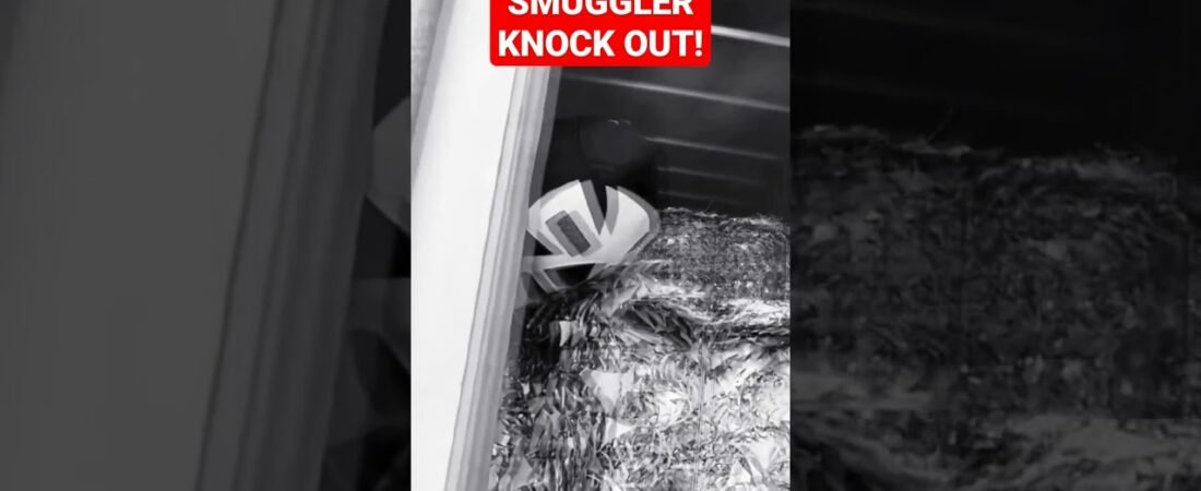 Trucker Knocks Smuggler Out with 1 PUNCH! Stay out of MY trailer, dude! Or this is what you’ll get.