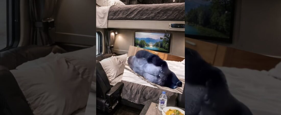 Trucker being vulnerable alone inside his Big Rig sleeper.