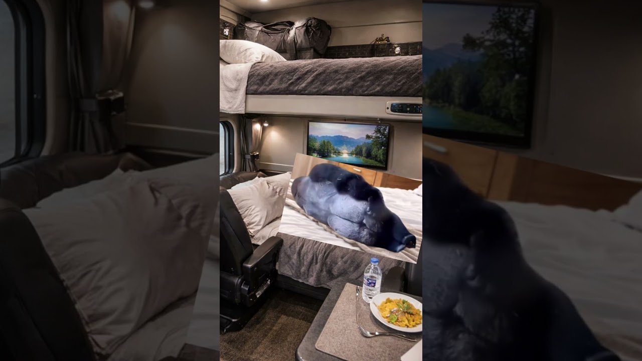 Trucker being vulnerable alone inside his Big Rig sleeper.