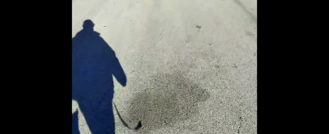 Trucker exposes the truth about taking showers on the road. What he says will shock you. #Shorts